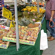 Berlin-Kreuzberg - Türkischer Obst- und Gemüseladen am Moritzplatz